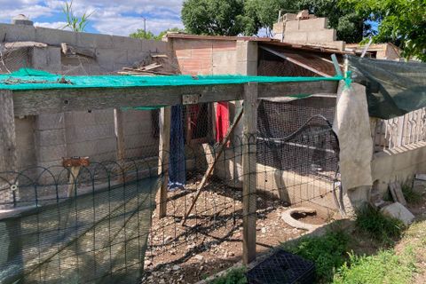 Landejendom i Vinaros, Castellon, Vinaros - € 77.000 | Ref: Finca Tranquila - foto 46